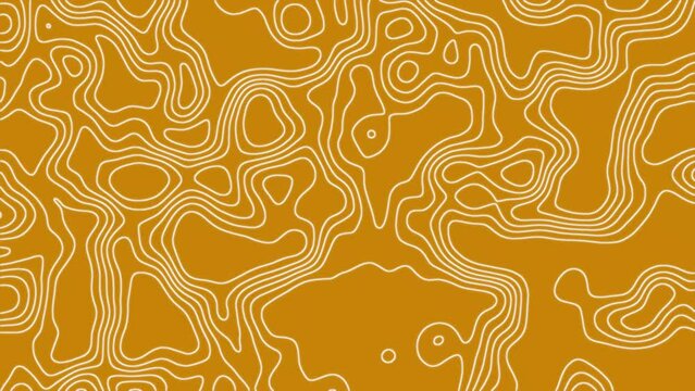 Topographic Map Animated Background
