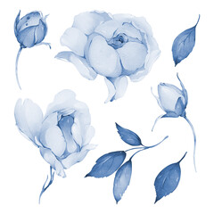 Set of watercolor illustrations with flowers and leaves for greeting cards in indigo tones