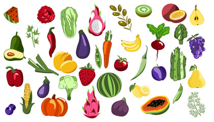 Set of fruits different. Colored flat vector illustration isolated on white background. Organic vitamins.