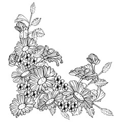 Hand-drawn line art flower illustration. It features a floral design of aster flowers and buds, with beautiful leaves. This highly detailed botanical illustration is perfect for wedding invitations.