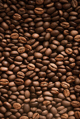 Fresh Roasted Coffee Beans Rustic Background. Coffee Beans in a pile.