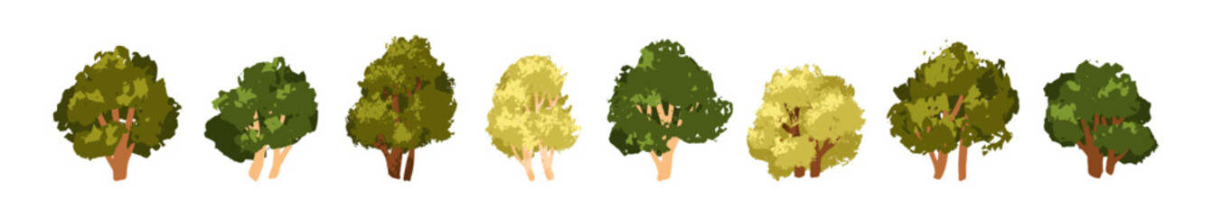 Deciduous trees set. Forest plants with green leaf, lush crowns, branches, trunks. Hand-drawn foliage nature elements. Abstract botanical flat vector illustrations isolated on white background © Good Studio