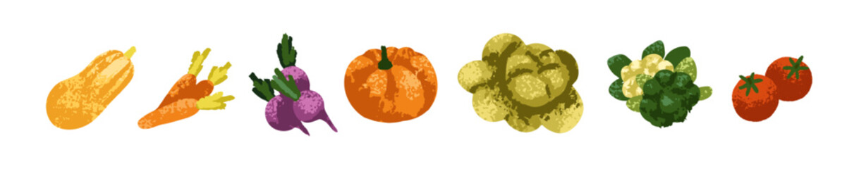 Vegetables set. Healthy natural vitamin food. Organic beets, carrots, pumpkin, squash, fresh cabbage, broccoli and tomato. Farm products. Colored flat vector illustration isolated on white background