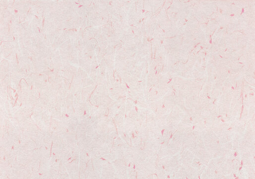 羽根や花びらのような繊維を散りばめた、もも色華の大礼紙