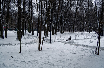 Paths in a snowy park on a cloudy day