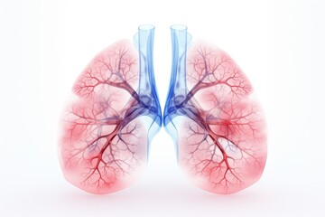 A semi-transparent rendering of human lungs, revealing the intricate vascular network, set on a clean white background for a clear, educational perspective.