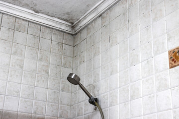 A bathroom with mold on the ceiling. Mold and stain cleaning.