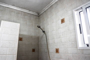 A bathroom with mold on the ceiling. Mold and stain cleaning.