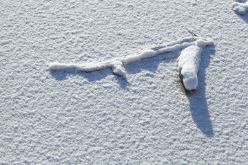 Verschneite Eisfläche, Deutschland