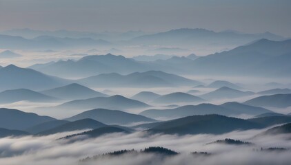 Fototapeta na wymiar Foggy mountain landscape and forest