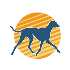 Fototapety  Silhouette of an active dog pet animal 