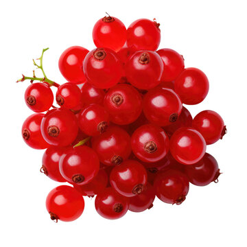 Red currant png. cranberries Vaccinium oxycoccus fruits, top view isolated on transpalate background
