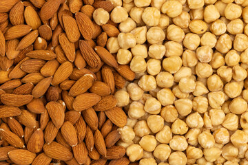 Dried almond and hazelnut kernels in a layer. Nuts background.