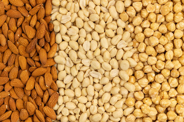 Background from different varieties of nuts