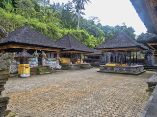 Domestic dogs on temple steps, Bali Indonesia