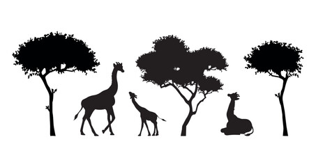 silhouette of giraffes and trees vector