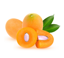 Closeup sweet Marian plum thai fruit isolated on white background (Mayongchid Maprang Marian Plum Thailand)on transparent.