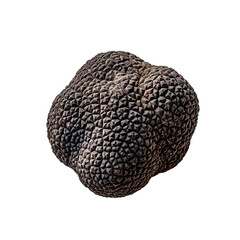 Delikatesse, Schwarzer Tr&uuml;ffel, freigestellt vor neutralem Hintergrund, Generative AI