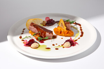 Elegantly plated duck fillet with onion marmalade and pumpkin puree on a white background, highlighted by a natural light shadow