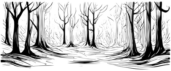 Vector black and white hand drawing of scary magic fantasy horror forest with deformed old trees and spooky eyes of dangerous creatures shining everywhere.