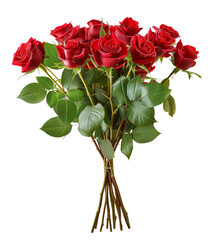 Bouquet of red roses isolated from white or transparent background