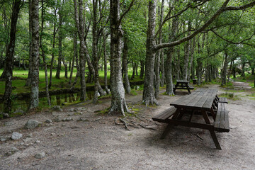 Fototapeta premium Wooden picnic table in mountain park by river