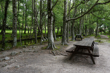Wooden picnic table in mountain park by river

