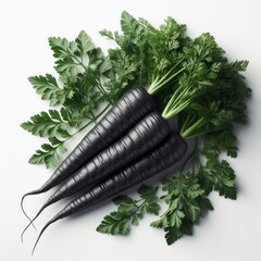 black carrots with green leaves