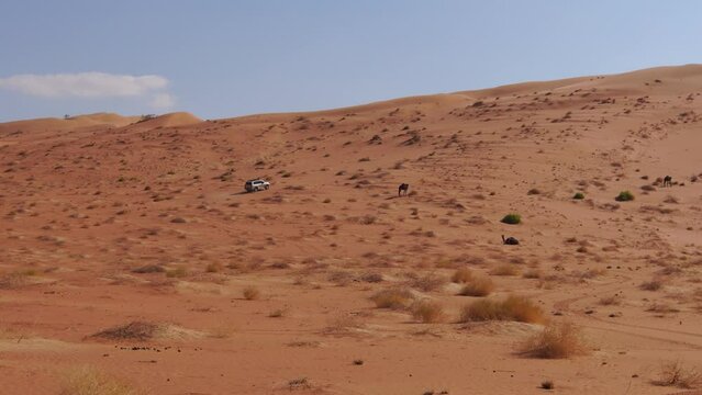 Offroad desert safari running and dune bashing in Oman Empty Quarter desert and Saudi Arabian, Persian Gulf, Middle East.