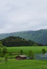 Hütte am Teich Nähe Mariazell im Nebel, vertikal