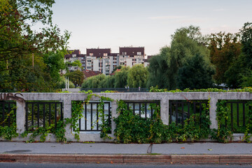 Fototapeta na wymiar parapet of the bridge is romantically braided by ivy in the evening twilight on the bank of Ljubljanica in the center of the old town