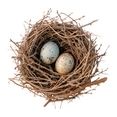 Bird nest with eggs. Isolated on transparent background.	
