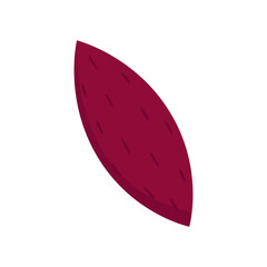 Sweet potato. Organic healthy vegetable. Fresh natural root. Made in vector cartoon flat style. Roasted sweet potato. Japanese Sweet potato.