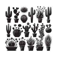 set different types of cactus vector