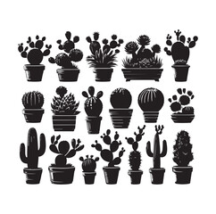 set different types of cactus vector