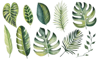 Foto op Plexiglas Watercolor set of bright tropical leaves © Diasha Art