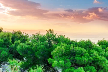 Photo sur Plexiglas Vert amazing landscape from a highland green park with trees and bushes to a beautiful sunset or sunrise above sea gulf with calm ocean water