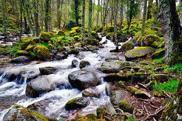 Arroyo de Serrezuelas
