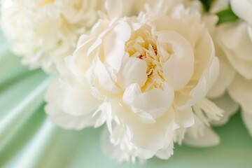 closeup of a white peony centerpiece on a pastel green tablecloth