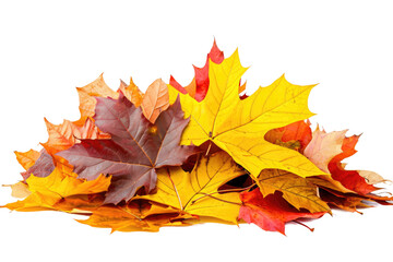 Naklejka na ściany i meble Colorful Autumn Leaves Pile Isolated on Transparent Background