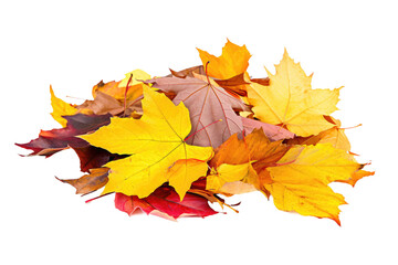 Naklejka na ściany i meble Colorful Autumn Leaves Pile Isolated on Transparent Background