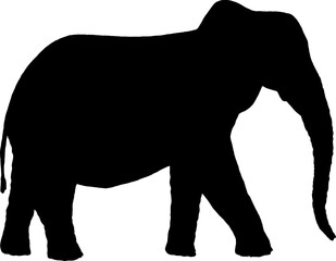 Elephant silhouette isolated on white background. Vector illustration