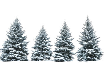 Snow covered Pine Trees Isolated on Transparent Background