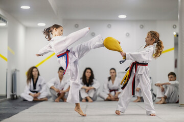 Taekwondo kids practicing strike at training at martial art school.