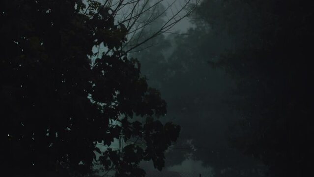 Stormy Night