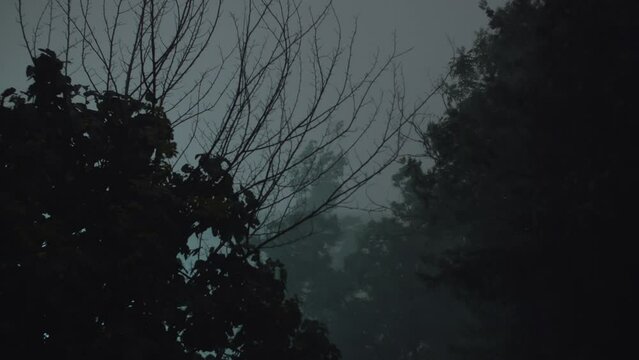 Stormy Night