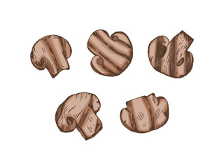 Organic food. Hand-drawn colored vector sketches of grilled champignons. Doodle vintage illustration. Decorations for the menu of cafes. Engraved image.