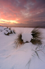 Zimowe wybrzeże Morza Bałtyckiego, ośnierzona plaża w Kołobrzegu, Plska - obrazy, fototapety, plakaty
