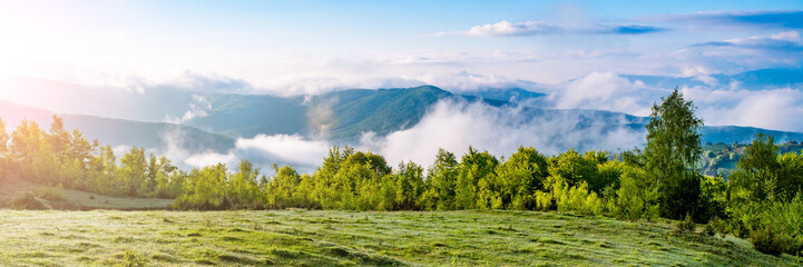 Panoramic view of a lush green meadow with forest and misty mountains in the background under a clear blue sky.