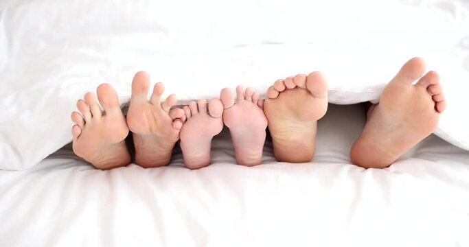 Legs of father mother and child lie in bed under white sheet. Family comfortable sleep
